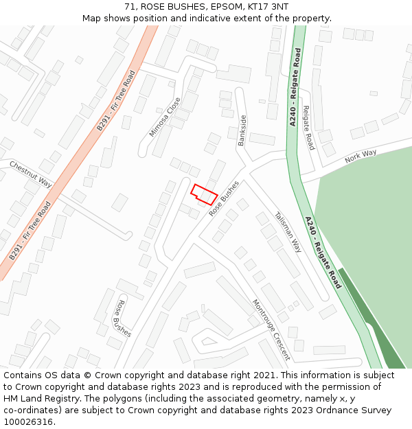 71, ROSE BUSHES, EPSOM, KT17 3NT: Location map and indicative extent of plot