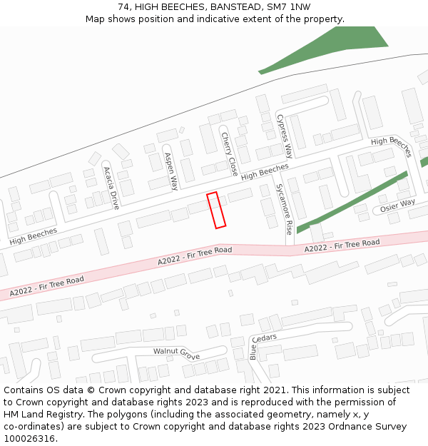 74, HIGH BEECHES, BANSTEAD, SM7 1NW: Location map and indicative extent of plot