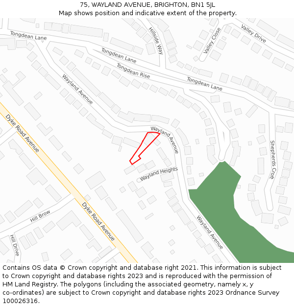75, WAYLAND AVENUE, BRIGHTON, BN1 5JL: Location map and indicative extent of plot