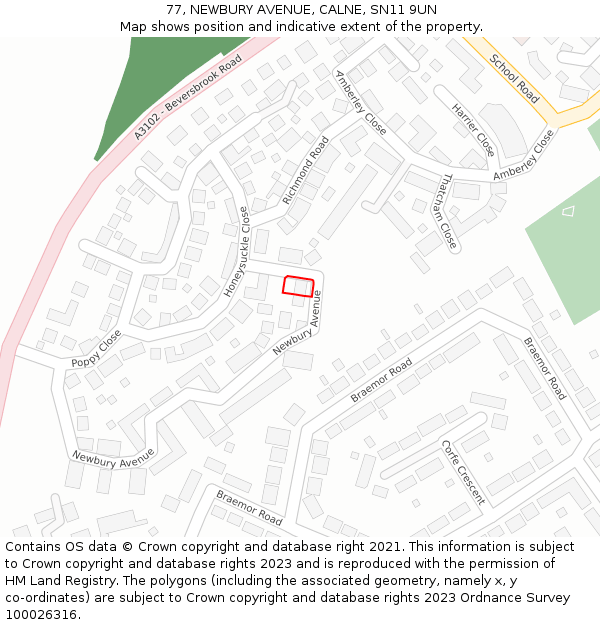 77, NEWBURY AVENUE, CALNE, SN11 9UN: Location map and indicative extent of plot