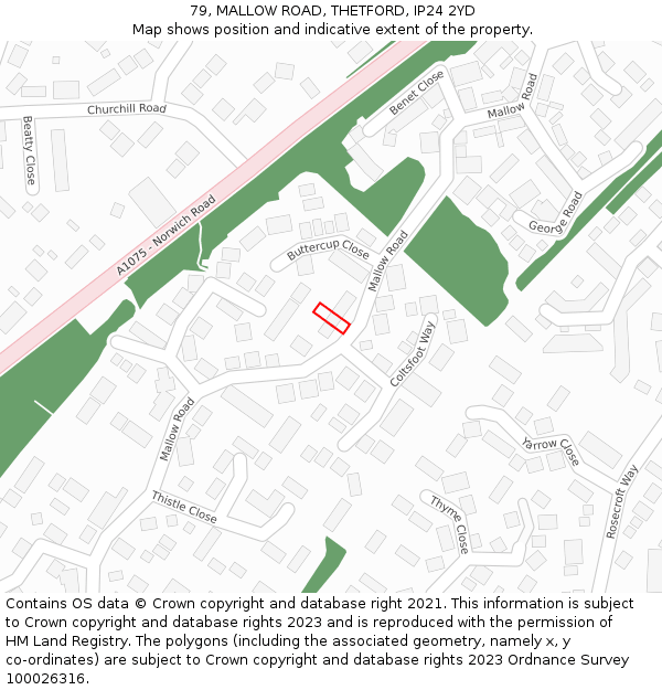 79, MALLOW ROAD, THETFORD, IP24 2YD: Location map and indicative extent of plot