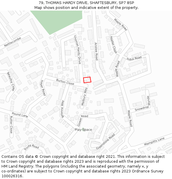 79, THOMAS HARDY DRIVE, SHAFTESBURY, SP7 8SP: Location map and indicative extent of plot