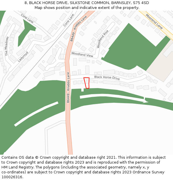 8, BLACK HORSE DRIVE, SILKSTONE COMMON, BARNSLEY, S75 4SD: Location map and indicative extent of plot