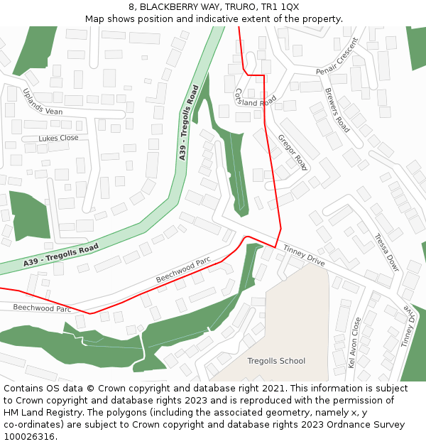 8, BLACKBERRY WAY, TRURO, TR1 1QX: Location map and indicative extent of plot