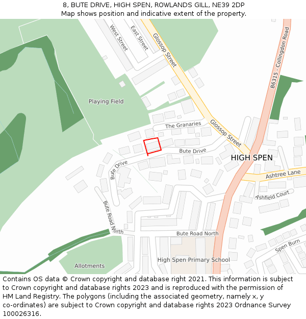 8, BUTE DRIVE, HIGH SPEN, ROWLANDS GILL, NE39 2DP: Location map and indicative extent of plot