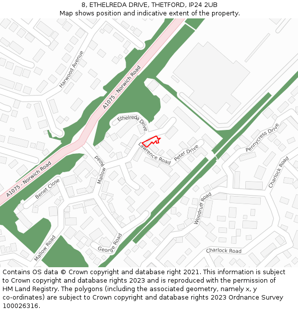 8, ETHELREDA DRIVE, THETFORD, IP24 2UB: Location map and indicative extent of plot
