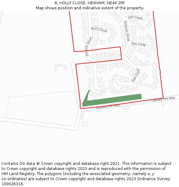 8, HOLLY CLOSE, HEXHAM, NE46 2RF: Location map and indicative extent of plot