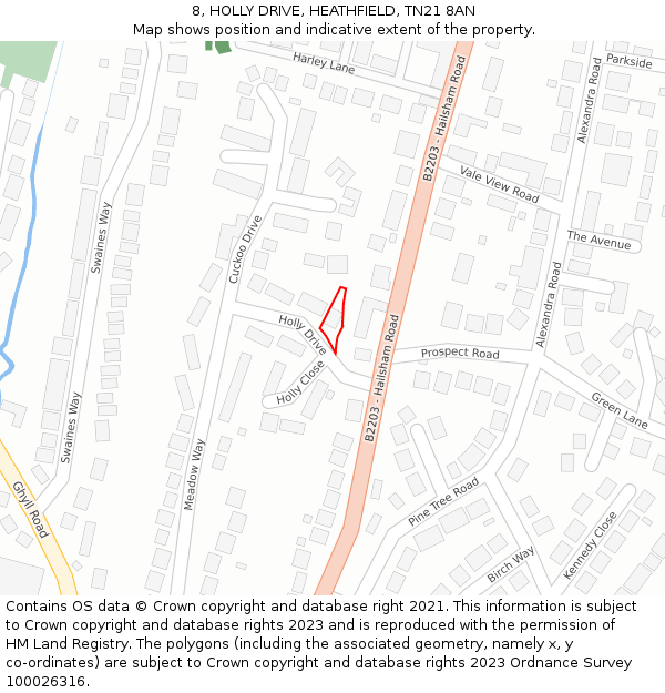 8, HOLLY DRIVE, HEATHFIELD, TN21 8AN: Location map and indicative extent of plot