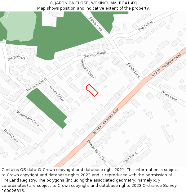 8, JAPONICA CLOSE, WOKINGHAM, RG41 4XJ: Location map and indicative extent of plot