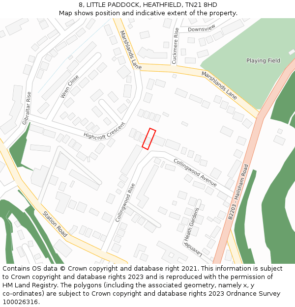8, LITTLE PADDOCK, HEATHFIELD, TN21 8HD: Location map and indicative extent of plot