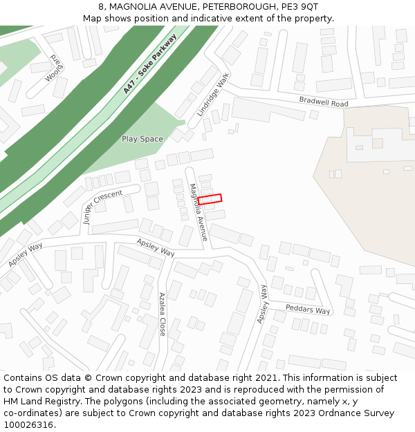 8, MAGNOLIA AVENUE, PETERBOROUGH, PE3 9QT: Location map and indicative extent of plot