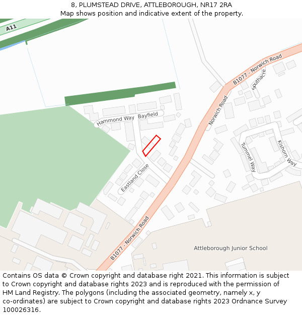 8, PLUMSTEAD DRIVE, ATTLEBOROUGH, NR17 2RA: Location map and indicative extent of plot