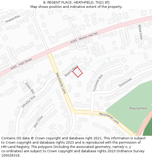 8, REGENT PLACE, HEATHFIELD, TN21 8TJ: Location map and indicative extent of plot