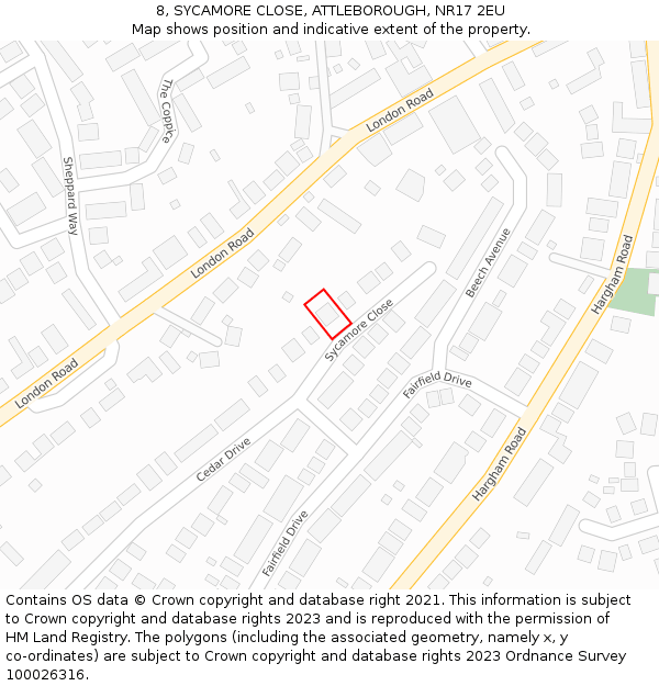 8, SYCAMORE CLOSE, ATTLEBOROUGH, NR17 2EU: Location map and indicative extent of plot