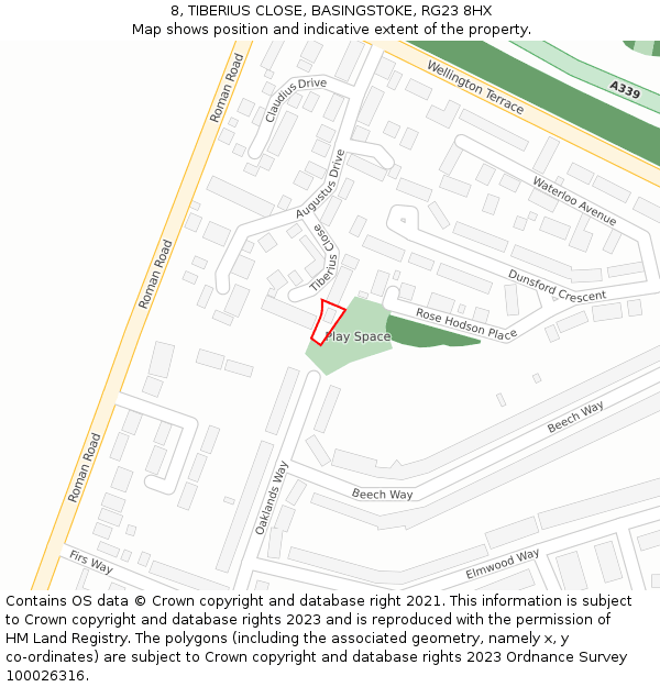 8, TIBERIUS CLOSE, BASINGSTOKE, RG23 8HX: Location map and indicative extent of plot