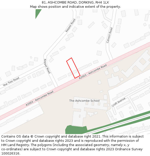 81, ASHCOMBE ROAD, DORKING, RH4 1LX: Location map and indicative extent of plot