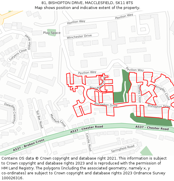 81, BISHOPTON DRIVE, MACCLESFIELD, SK11 8TS: Location map and indicative extent of plot