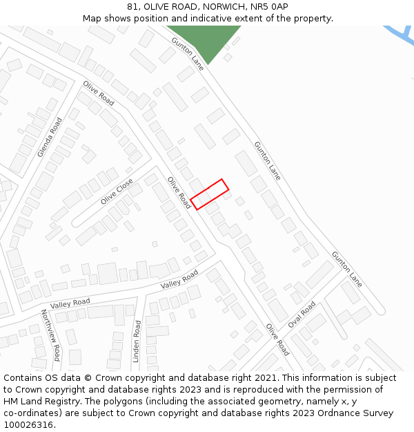 81, OLIVE ROAD, NORWICH, NR5 0AP: Location map and indicative extent of plot