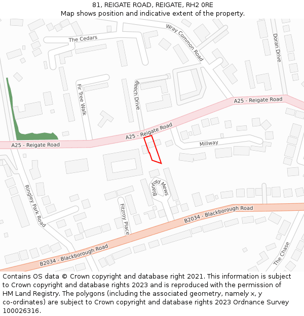 81, REIGATE ROAD, REIGATE, RH2 0RE: Location map and indicative extent of plot