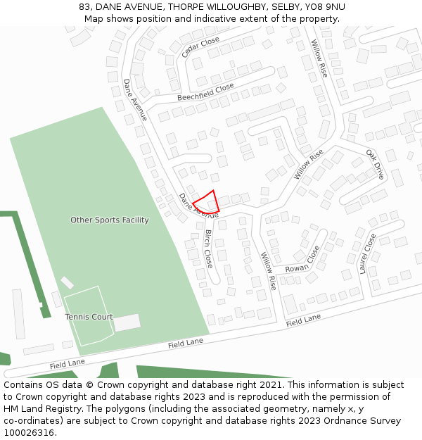 83, DANE AVENUE, THORPE WILLOUGHBY, SELBY, YO8 9NU: Location map and indicative extent of plot