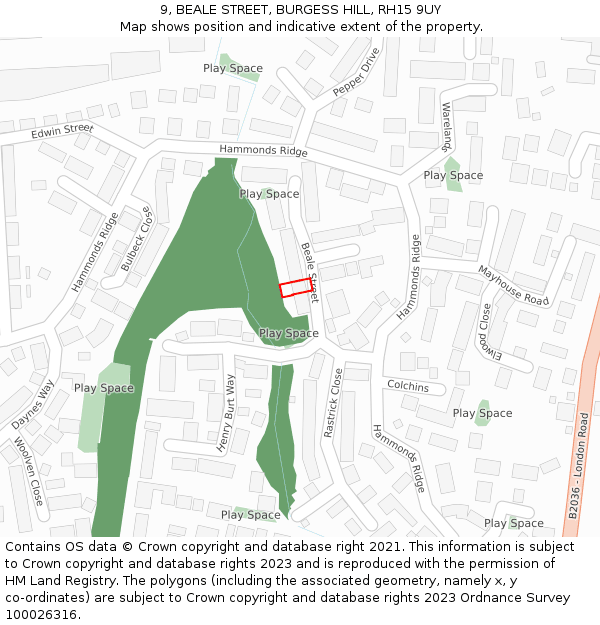 9, BEALE STREET, BURGESS HILL, RH15 9UY: Location map and indicative extent of plot