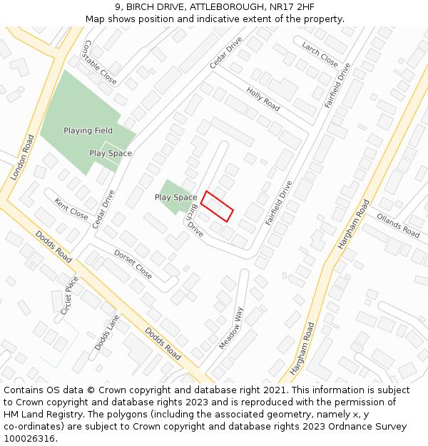9, BIRCH DRIVE, ATTLEBOROUGH, NR17 2HF: Location map and indicative extent of plot