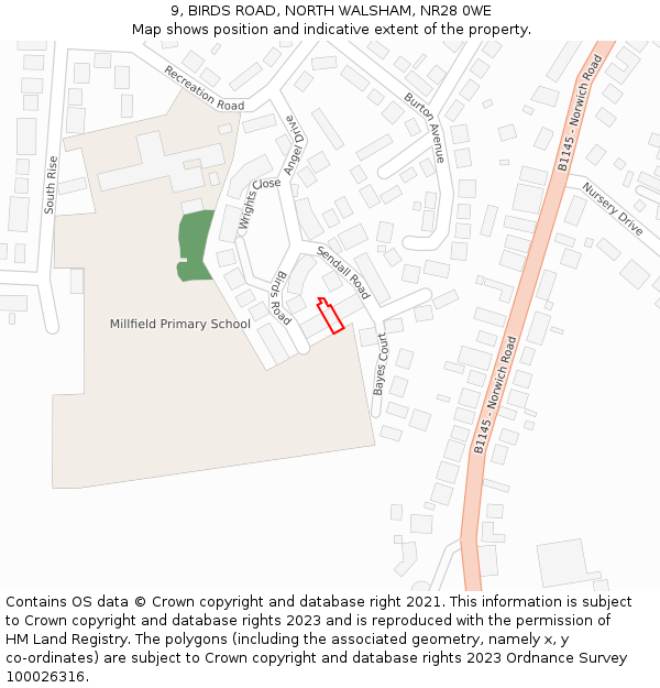 9, BIRDS ROAD, NORTH WALSHAM, NR28 0WE: Location map and indicative extent of plot