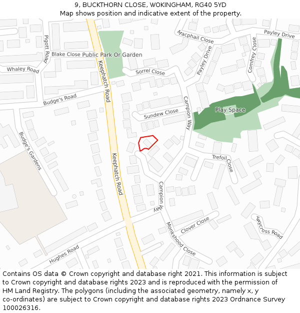 9, BUCKTHORN CLOSE, WOKINGHAM, RG40 5YD: Location map and indicative extent of plot