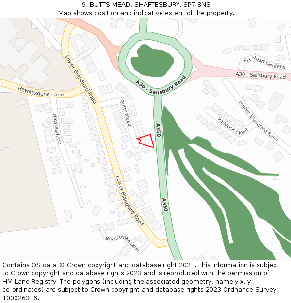 9, BUTTS MEAD, SHAFTESBURY, SP7 8NS: Location map and indicative extent of plot