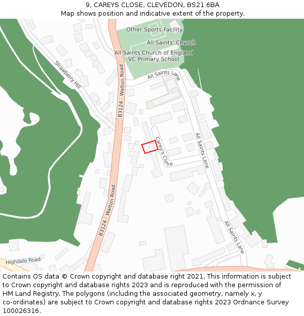 9, CAREYS CLOSE, CLEVEDON, BS21 6BA: Location map and indicative extent of plot