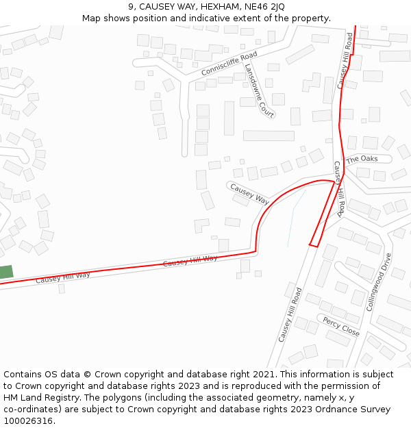 9, CAUSEY WAY, HEXHAM, NE46 2JQ: Location map and indicative extent of plot