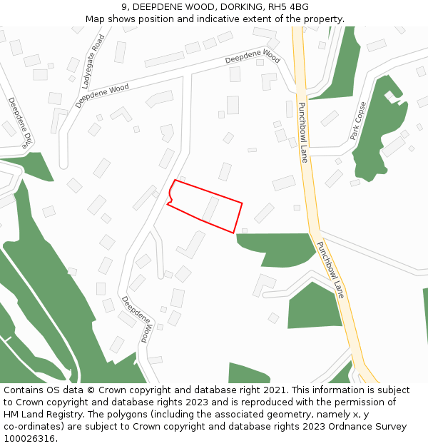 9, DEEPDENE WOOD, DORKING, RH5 4BG: Location map and indicative extent of plot