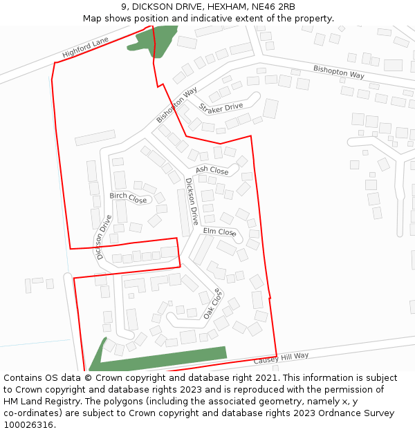 9, DICKSON DRIVE, HEXHAM, NE46 2RB: Location map and indicative extent of plot