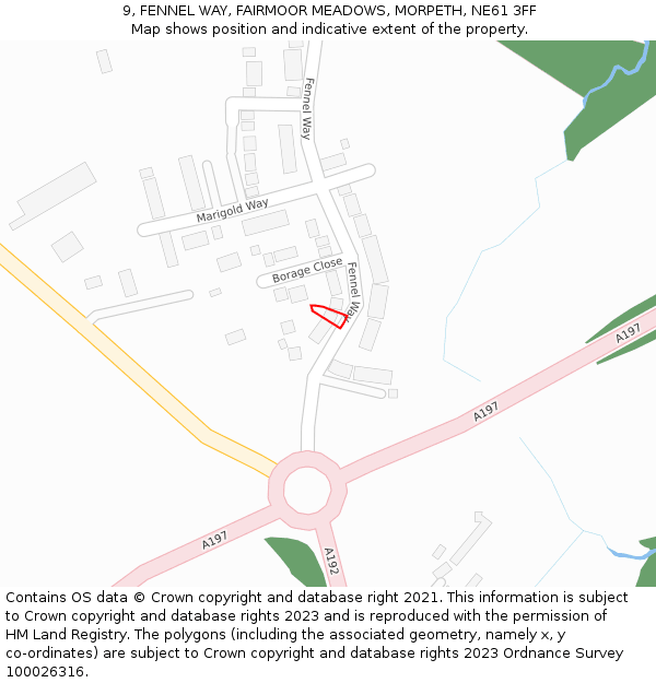 9, FENNEL WAY, FAIRMOOR MEADOWS, MORPETH, NE61 3FF: Location map and indicative extent of plot