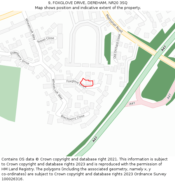 9, FOXGLOVE DRIVE, DEREHAM, NR20 3SQ: Location map and indicative extent of plot