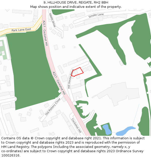 9, HILLHOUSE DRIVE, REIGATE, RH2 8BH: Location map and indicative extent of plot