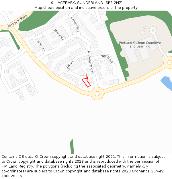 9, LACEBARK, SUNDERLAND, SR3 2NZ: Location map and indicative extent of plot