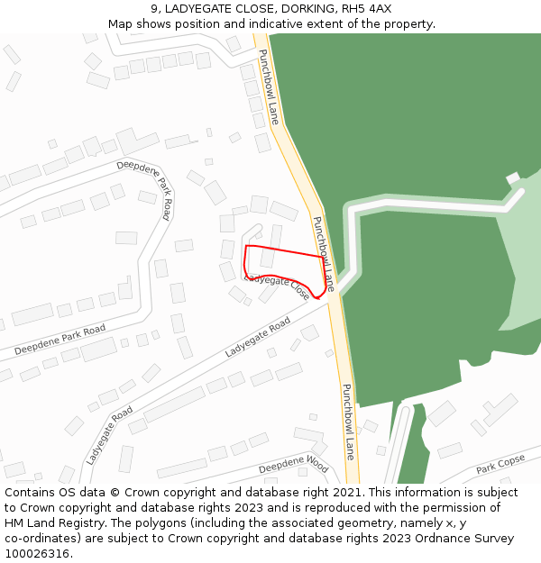 9, LADYEGATE CLOSE, DORKING, RH5 4AX: Location map and indicative extent of plot