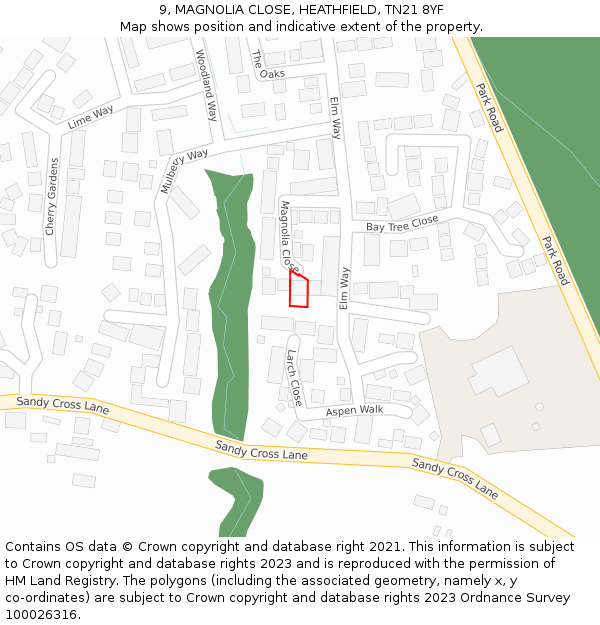 9, MAGNOLIA CLOSE, HEATHFIELD, TN21 8YF: Location map and indicative extent of plot