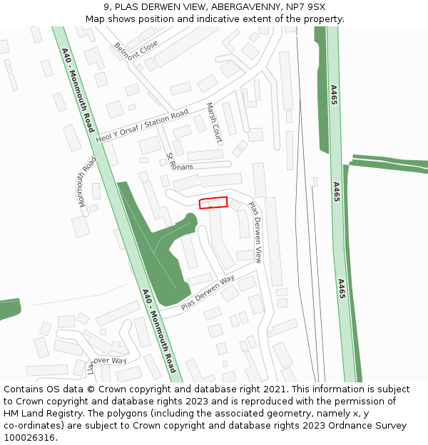 9, PLAS DERWEN VIEW, ABERGAVENNY, NP7 9SX: Location map and indicative extent of plot