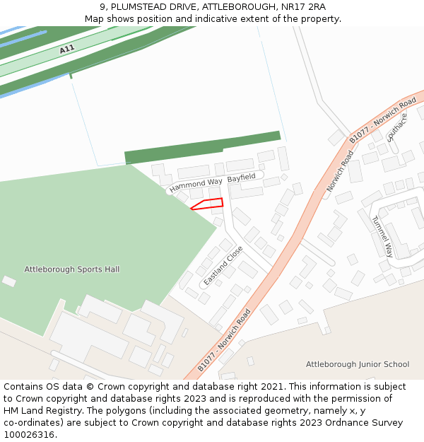 9, PLUMSTEAD DRIVE, ATTLEBOROUGH, NR17 2RA: Location map and indicative extent of plot