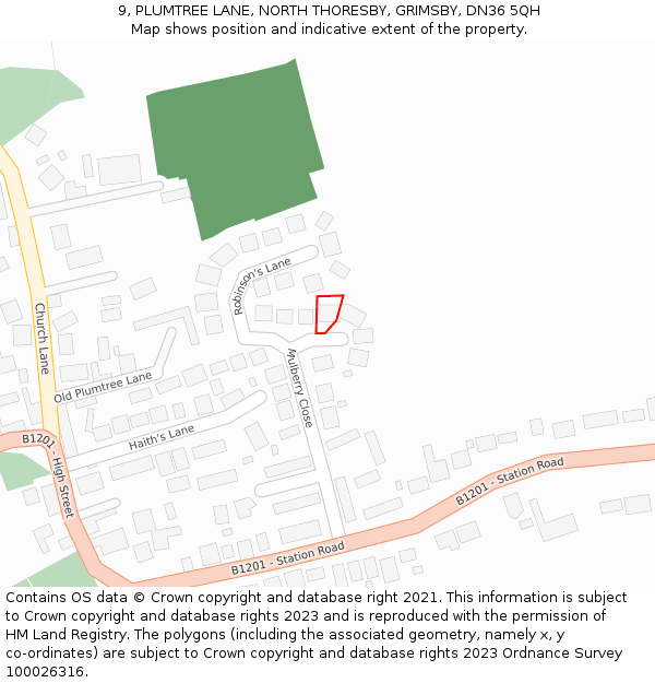 9, PLUMTREE LANE, NORTH THORESBY, GRIMSBY, DN36 5QH: Location map and indicative extent of plot