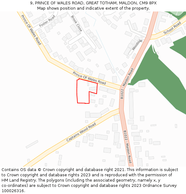 9, PRINCE OF WALES ROAD, GREAT TOTHAM, MALDON, CM9 8PX: Location map and indicative extent of plot