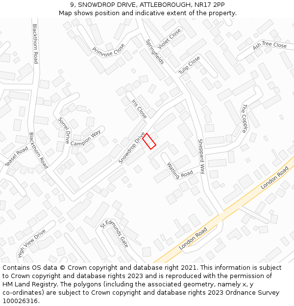 9, SNOWDROP DRIVE, ATTLEBOROUGH, NR17 2PP: Location map and indicative extent of plot