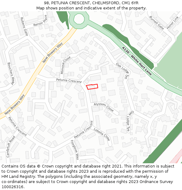 98, PETUNIA CRESCENT, CHELMSFORD, CM1 6YR: Location map and indicative extent of plot