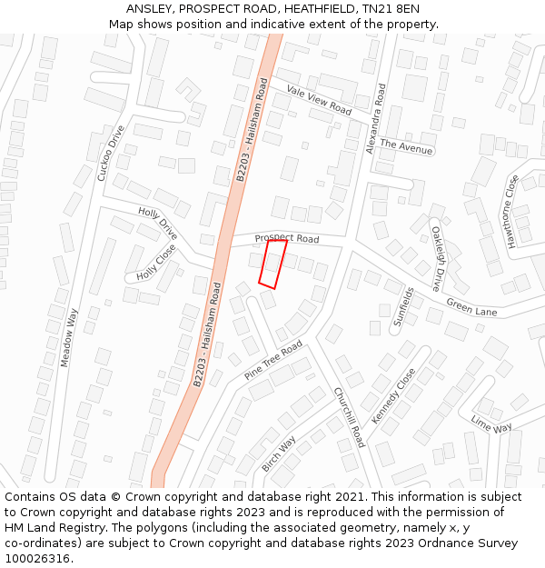 ANSLEY, PROSPECT ROAD, HEATHFIELD, TN21 8EN: Location map and indicative extent of plot