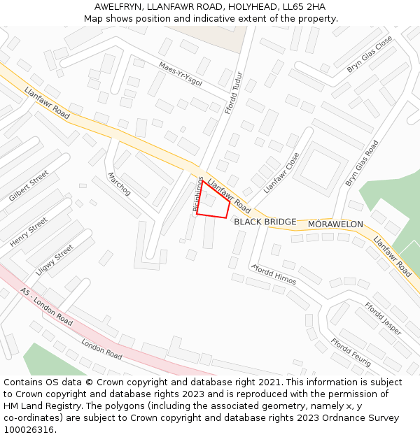 AWELFRYN, LLANFAWR ROAD, HOLYHEAD, LL65 2HA: Location map and indicative extent of plot