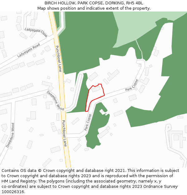 BIRCH HOLLOW, PARK COPSE, DORKING, RH5 4BL: Location map and indicative extent of plot