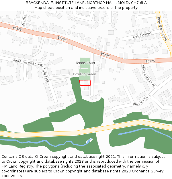 BRACKENDALE, INSTITUTE LANE, NORTHOP HALL, MOLD, CH7 6LA: Location map and indicative extent of plot