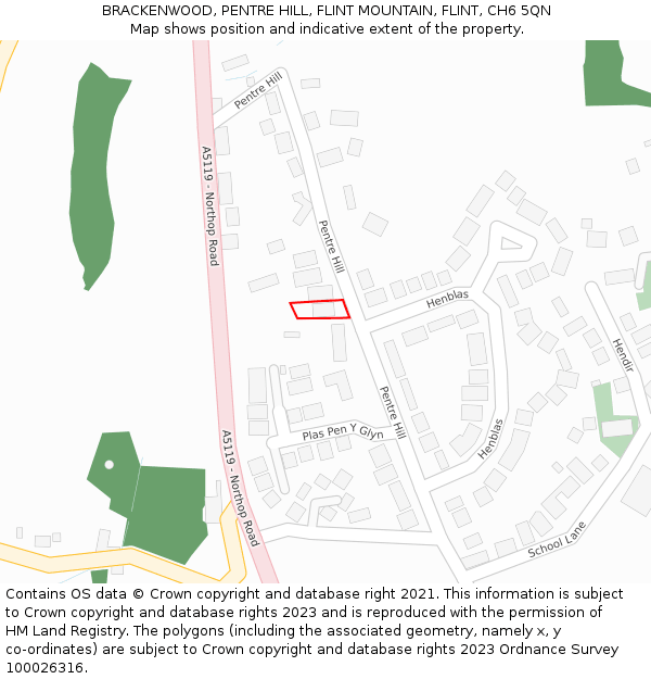 BRACKENWOOD, PENTRE HILL, FLINT MOUNTAIN, FLINT, CH6 5QN: Location map and indicative extent of plot